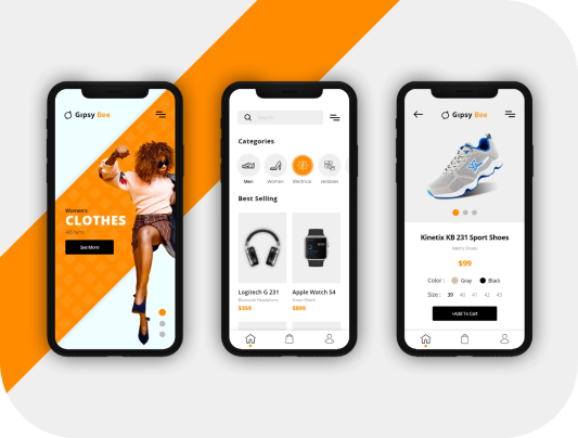 ecommerce-pro1