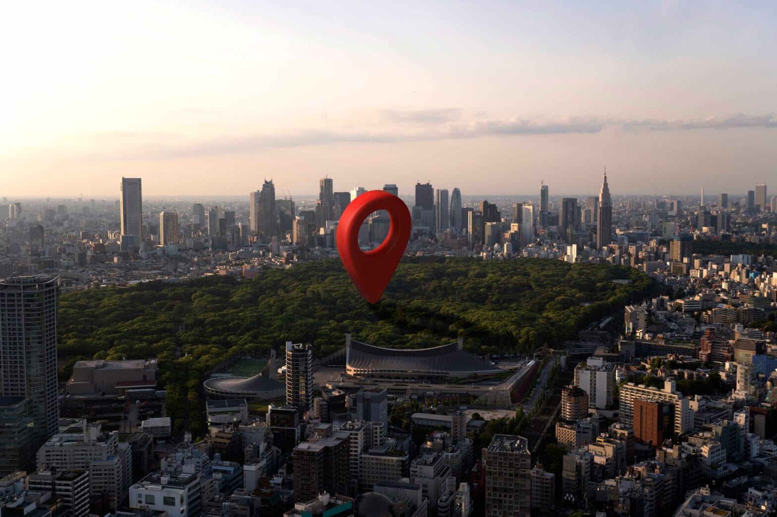 local seo services